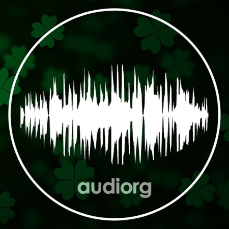 Телеграм бот Audiorg